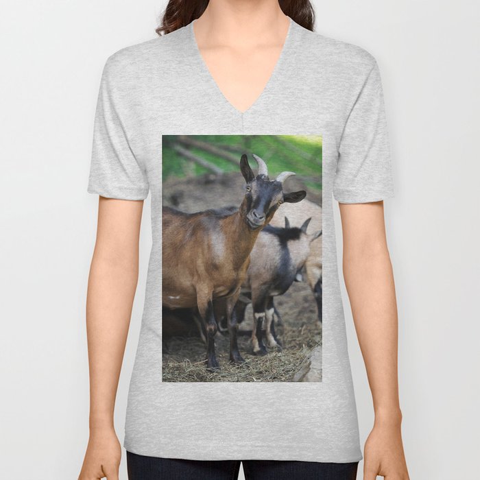 Curious Goat Facing Camera  V Neck T Shirt