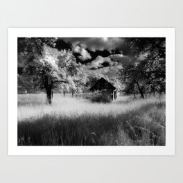 Abandoned, Cabin in the Wheat infrared black and white photography - photograph by Reinhard Brunsch Art Print