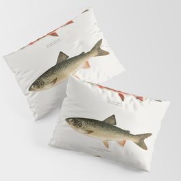 Illustrated North American Freshwater Trout Game Fish Identification Chart Pillow Sham