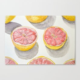 Pink Grapefruit Canvas Print