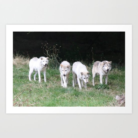 Wolf Pack Art Print