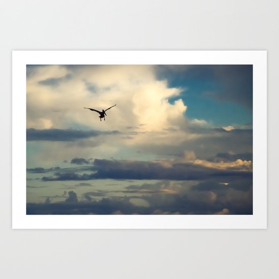 Pelican flight Art Print