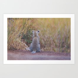 Leopard cub photo Art Print