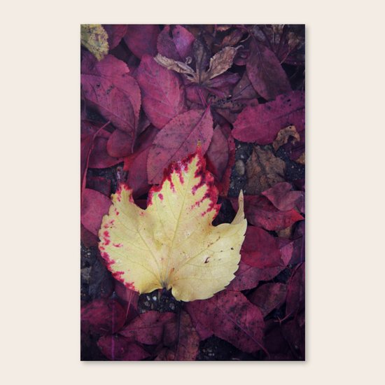 Vibrant Canvas Print