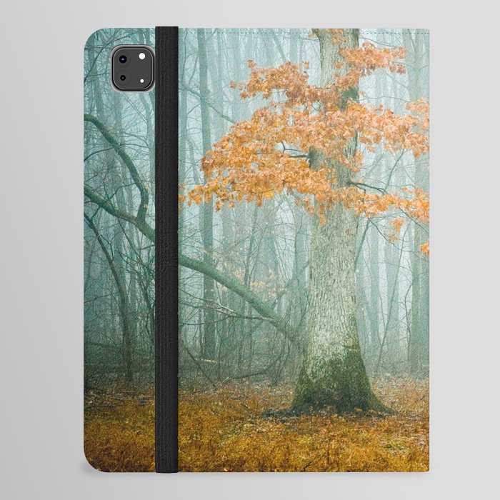 Autumn Woods iPad Folio Case