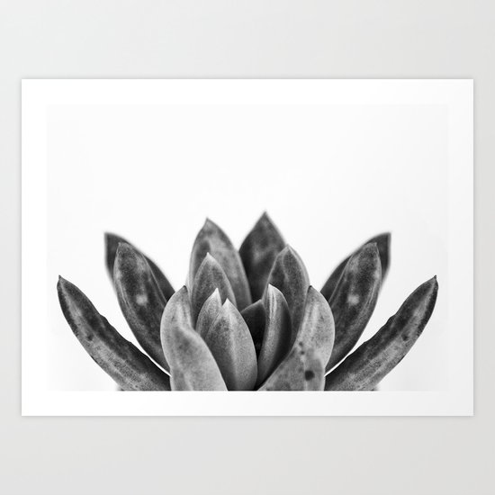 nature cactus macro Art Print