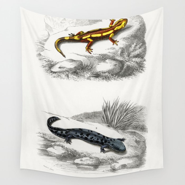 Fire Salamander & Hellbender Salamander Wall Tapestry