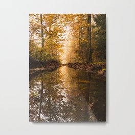Forest 4 Metal Print | Color, Tree, Photo, Forest, Nature, Water, Hdr, Clearwater, Digital, Brook 
