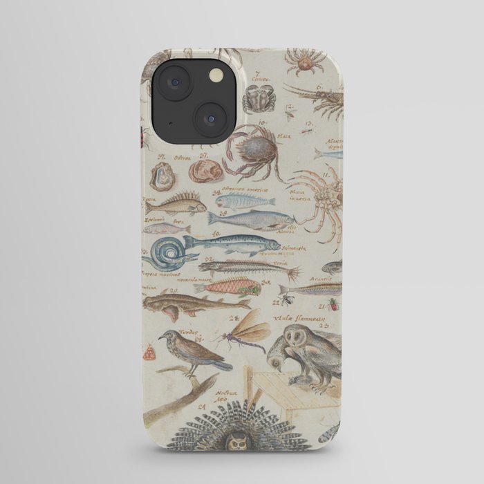 Vintage Natural History Scientific Illustration Chart, 16th Century iPhone Case