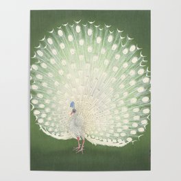 Peacock, Ohara Koson - Japanese Woodcut Poster