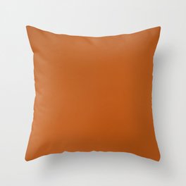 Burnt Orange Blend Throw Pillow