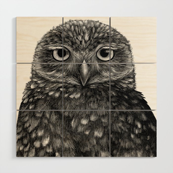 Burrowing Owl Print Wood Wall Art