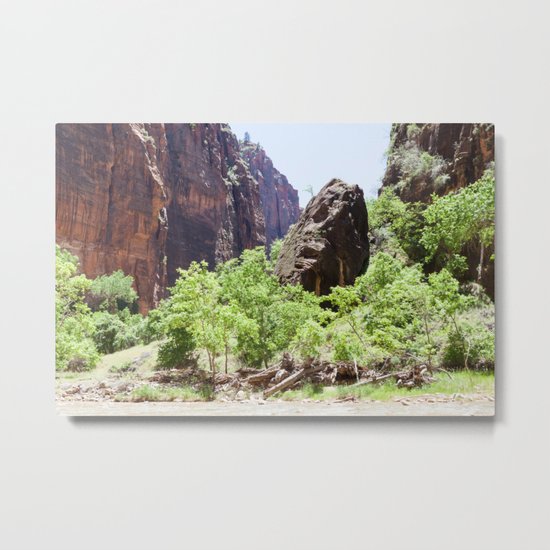 Grounded (Zion National Park, Utah) Metal Print