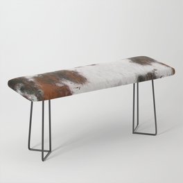 Bohemian Rust Cowhide Patch of Fur Painted with Brushstrokes Bench