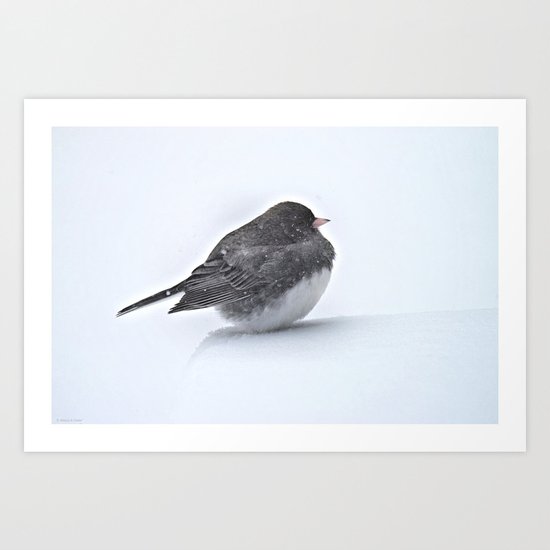 Brave Bird in a Blizzard Art Print