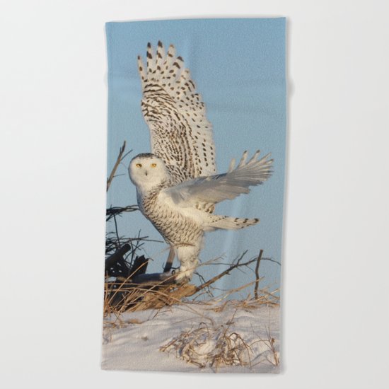 Snowy Ballerina Beach Towel