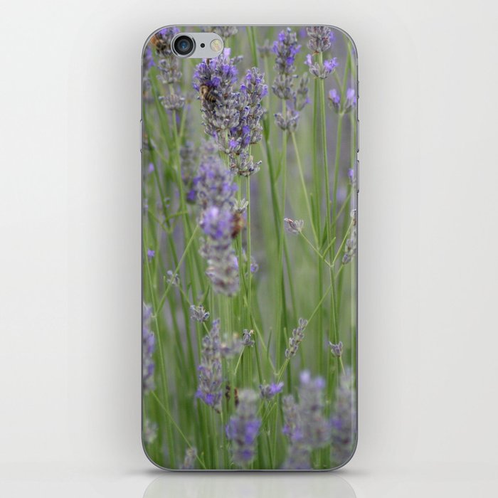 A Blur Of Beautiful Lavender Flowers Photograph iPhone Skin