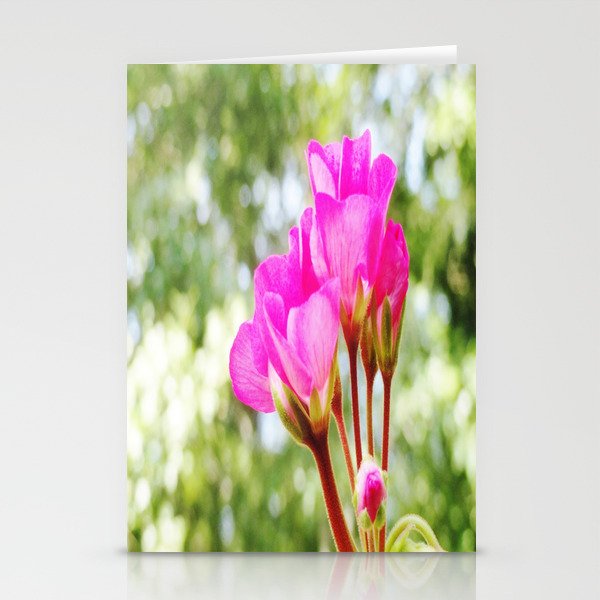 Pink FlOWERS Stationery Cards