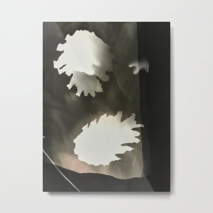Sepia Pine Cones, Metal Print