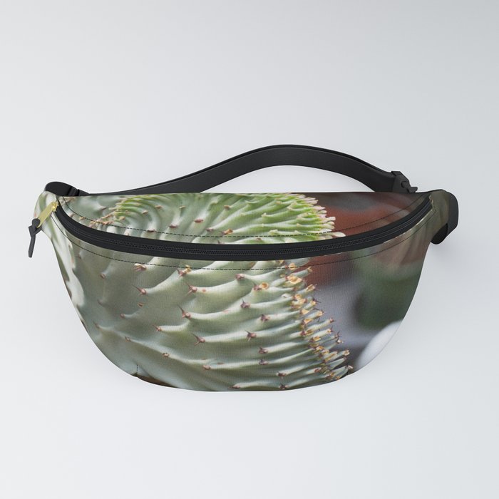 Macy's hot sale waist pack