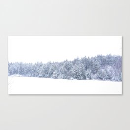 Peaceful Storm - Winter Snow Canvas Print