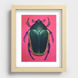 Fig Eater Beetle Recessed Framed Print
