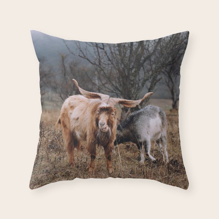 Goat Mountain Wilderness Throw Pillow by All Modern Scandinavian