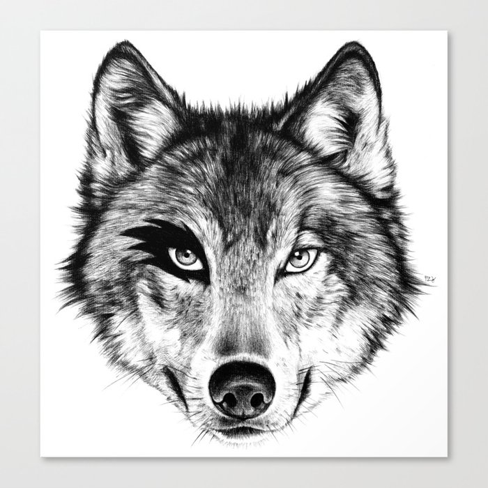 The Wolf Next Door Canvas Print