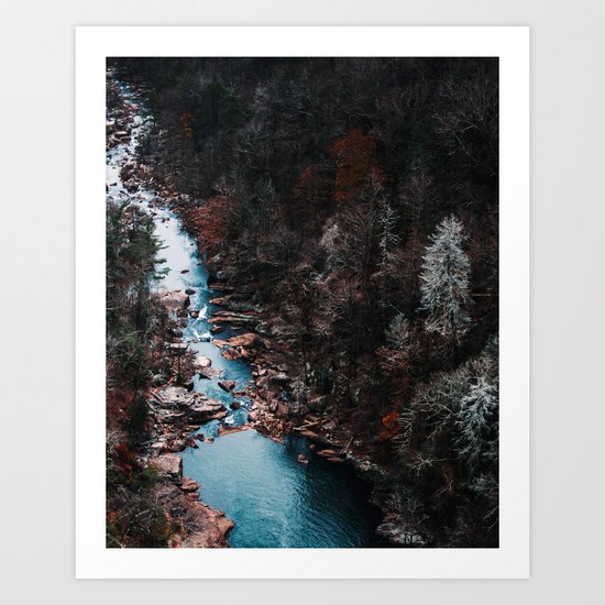 River Art Print
