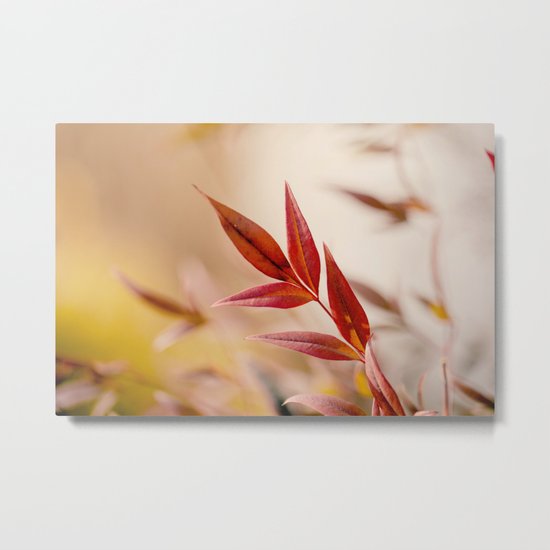 Winter Red Metal Print