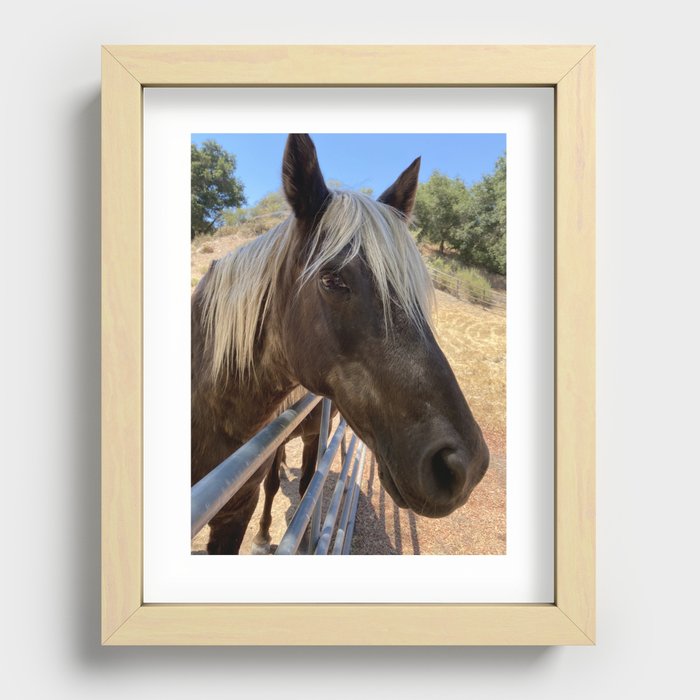 Horses of the Valley Recessed Framed Print