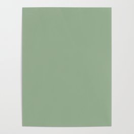 Light Sage Green Solid Color Pairs To Sherwin Williams Nurture Green SW 6451 Poster