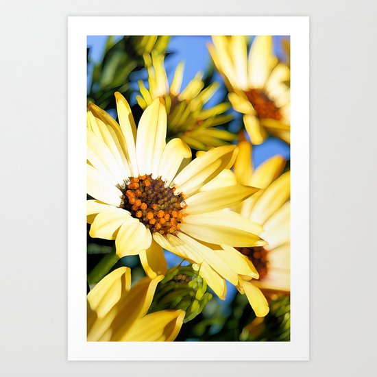 Sun Worshipper Art Print