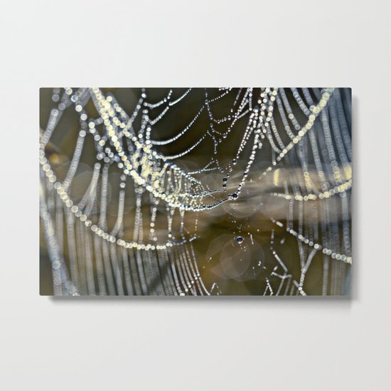 silver lights Metal Print