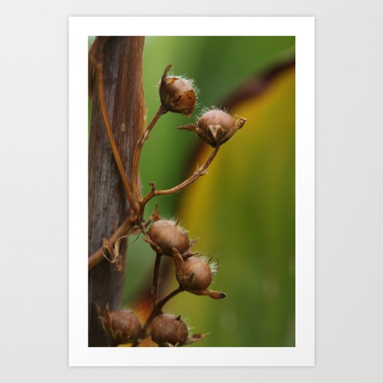 Climber Art Print
