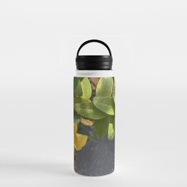 Yellow flower nature photography nature fall photograpy original Iphone Water Bottle