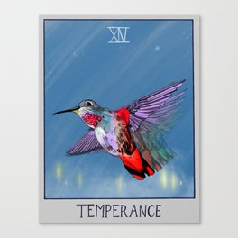 XIV - Temperance Canvas Print