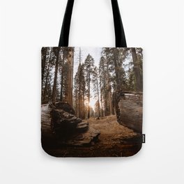 Light Between Fallen Sequoias Tote Bag