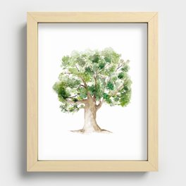 Watercolor Oak Tree Recessed Framed Print