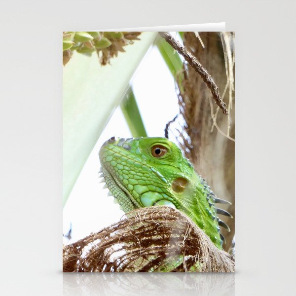 Green Iguana Up Close Stationery Cards