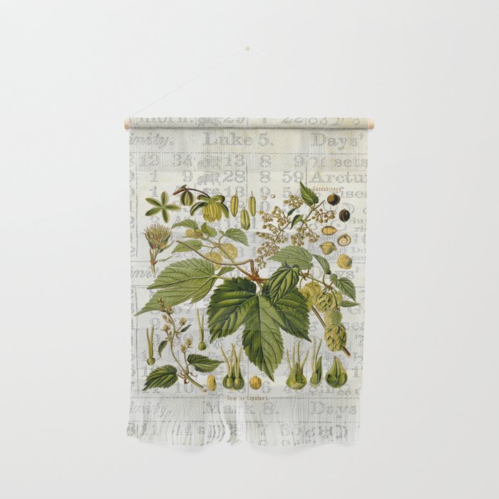 Common Hop Botanical Print on Vintage almanac collage Wall Hanging