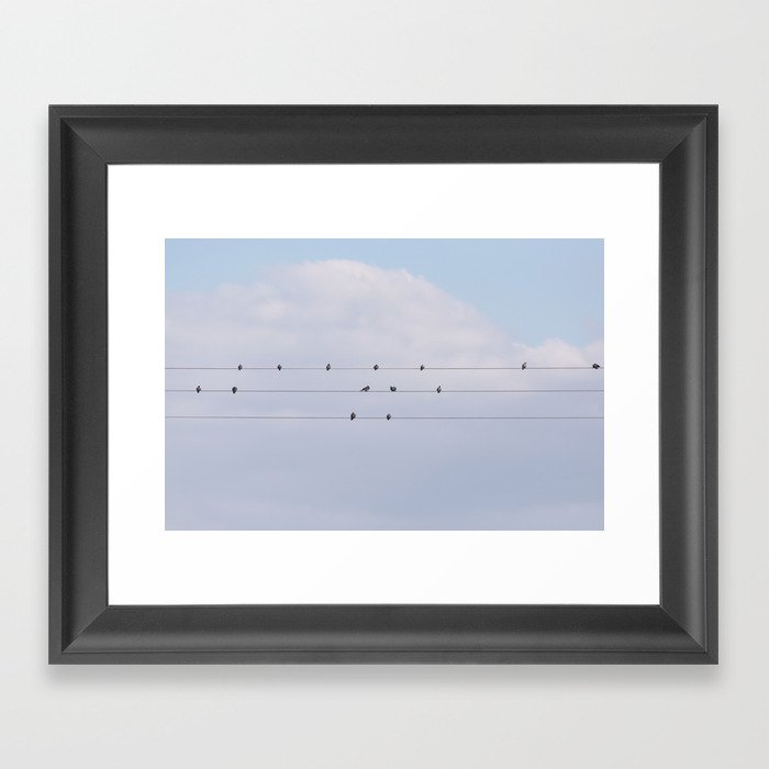 Musical Birds Framed Art Print