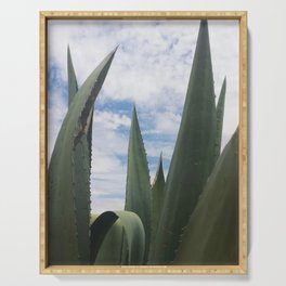 Agave Clouds Serving Tray