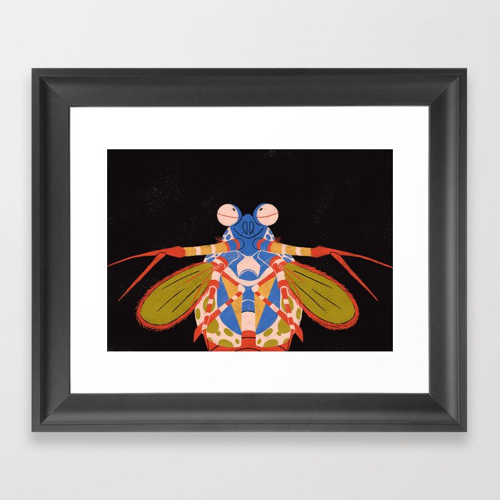 Mantis Shrimp Framed Art Print