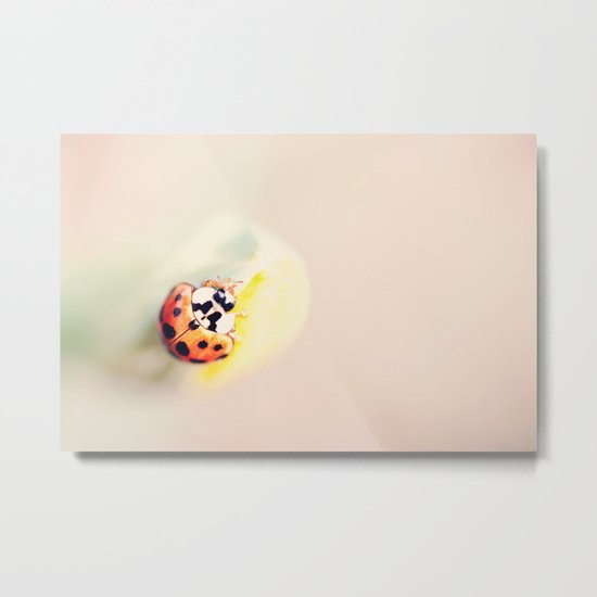 The Lady Metal Print