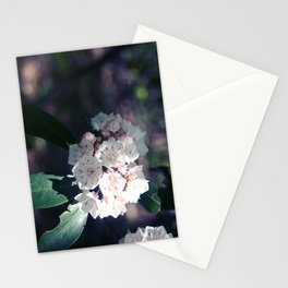 Mountain Laurel Stationery Cards