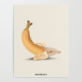 Dolphana Poster