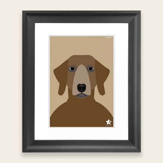 Pointer Framed Art Print