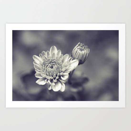 Indulgence (Monochrome) Art Print