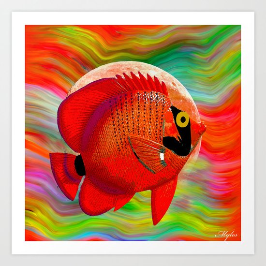 ANGEL FISH Art Print
